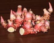 Galangal Powder -  Alpinia galanga Powder