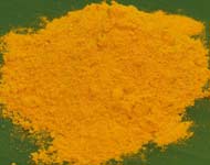 Turmeric Powder - Curcuma longa Powder 